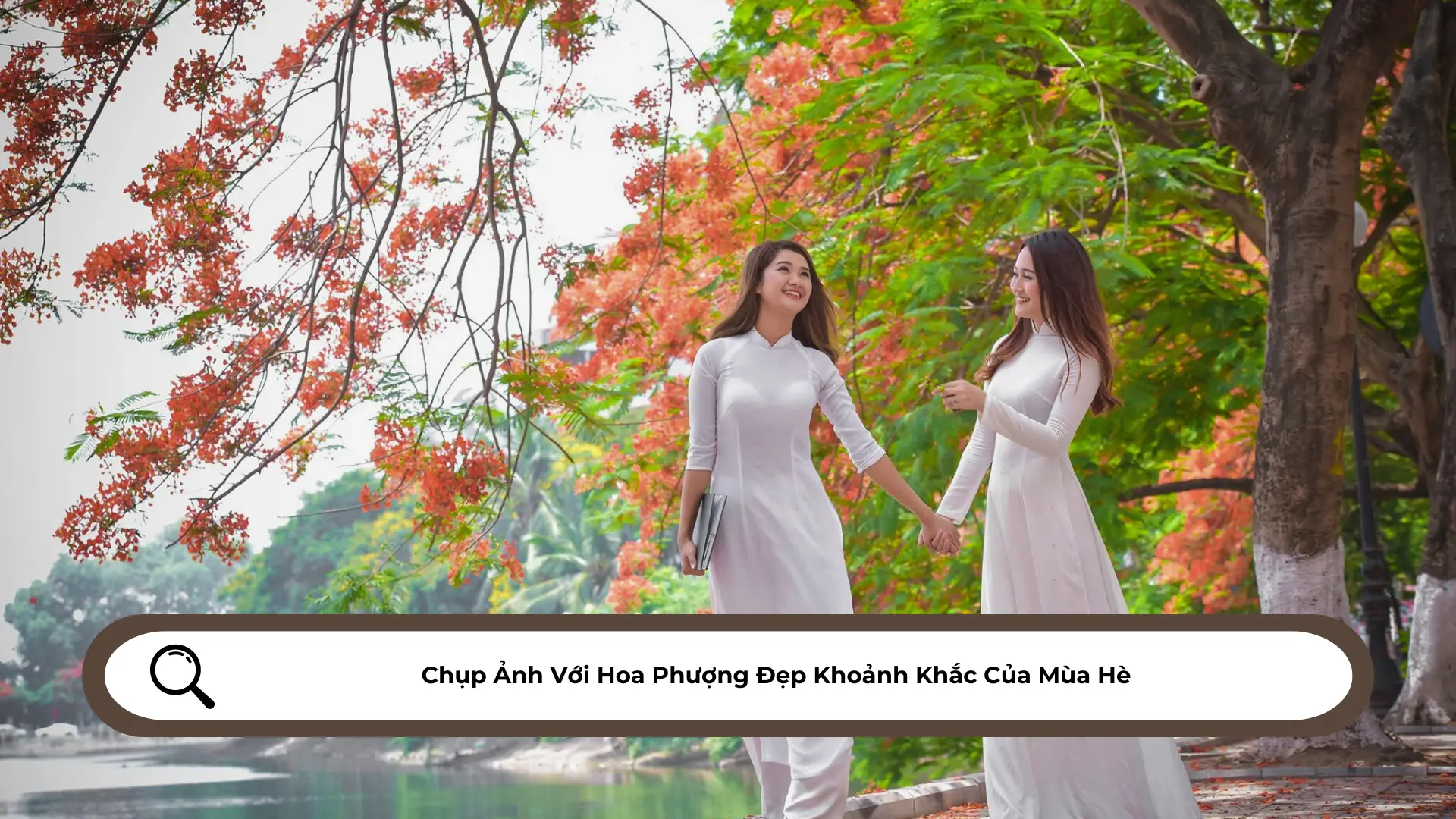 Chụp Ảnh Với Hoa Phượng Đẹp Khoảnh Khắc Của Mùa Hè