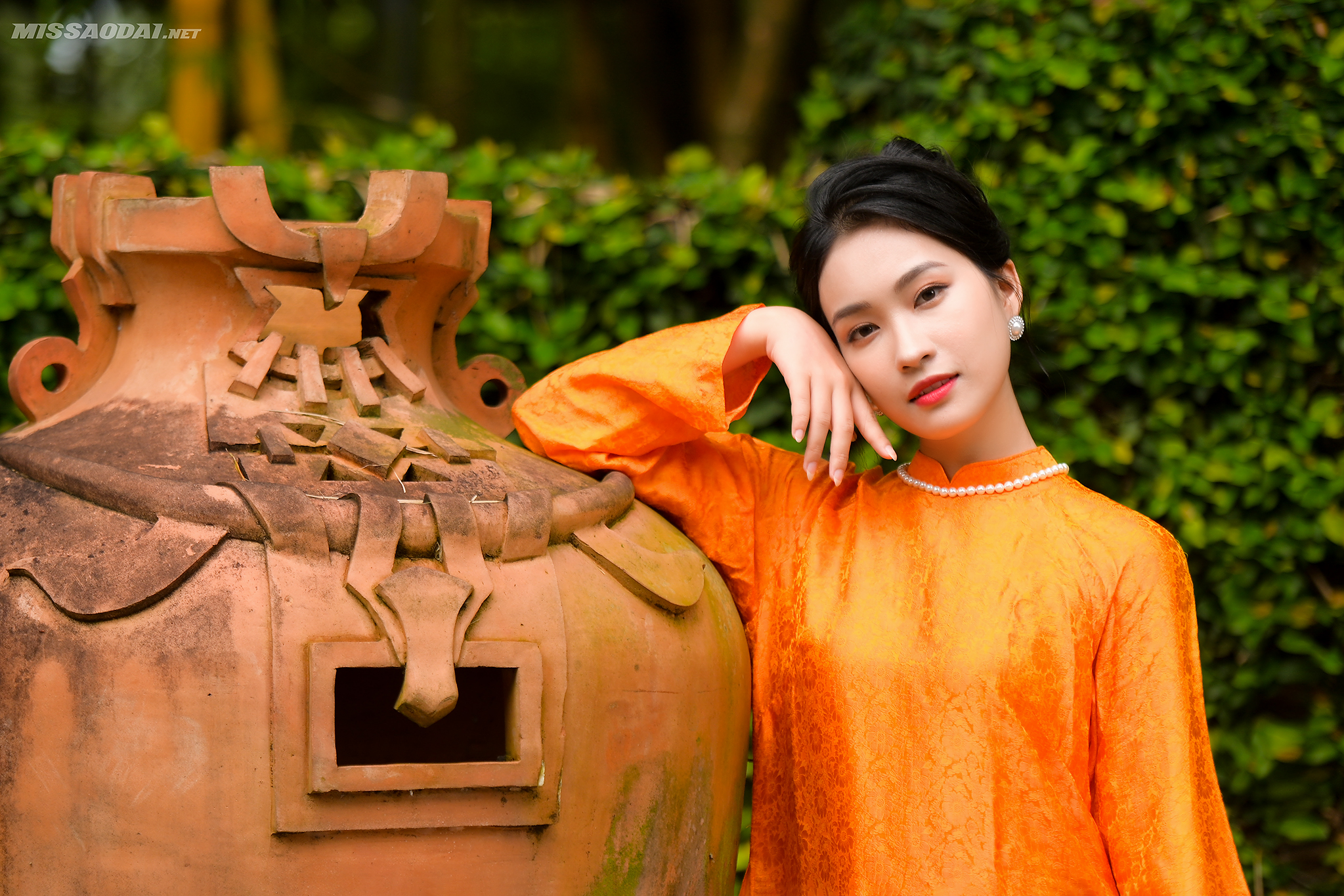 Tường Vi