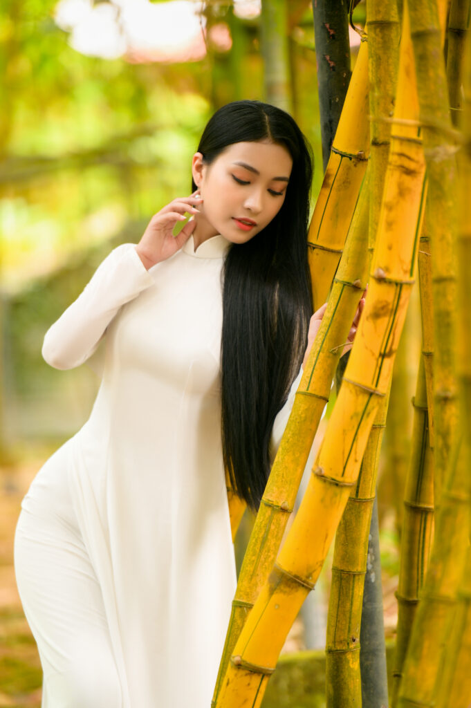 Đền Hùng và áo dài là một biểu tượng của Việt Nam trên thế giới.