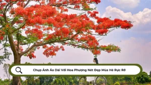 Chụp Ảnh Áo Dài Với Hoa Phượng Nét Đẹp Mùa Hè Rực Rỡ