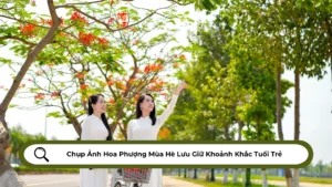 Chụp Ảnh Hoa Phượng Mùa Hè Lưu Giữ Khoảnh Khắc Tuổi Trẻ