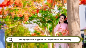 Những Địa Điểm Tuyệt Vời Để Chụp Ảnh Với Hoa Phượng